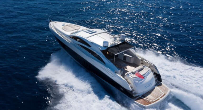 Predator 72